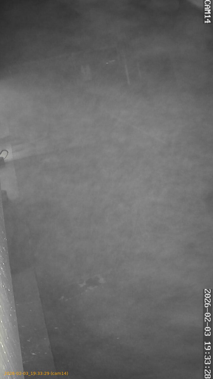 thumbnail_20260203193329