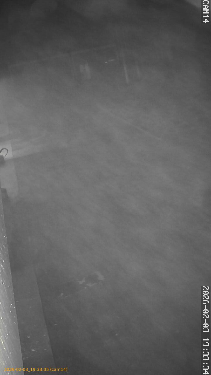 thumbnail_20260203193335