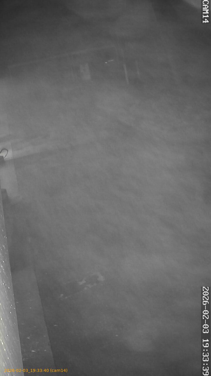 thumbnail_20260203193340