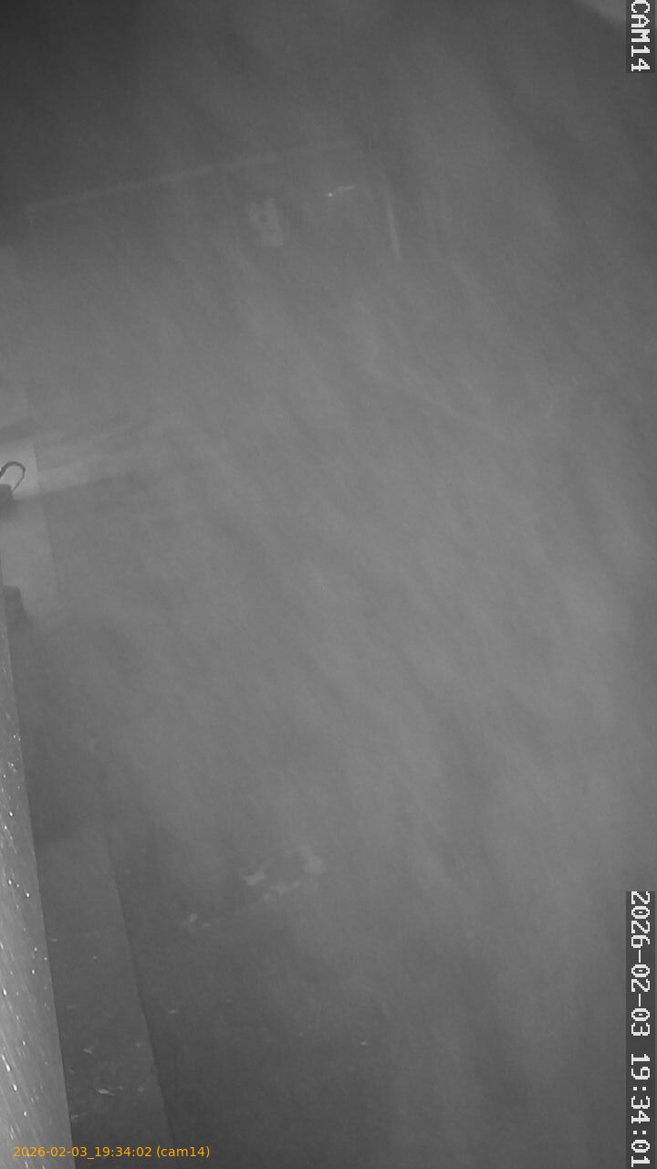 thumbnail_20260203193402