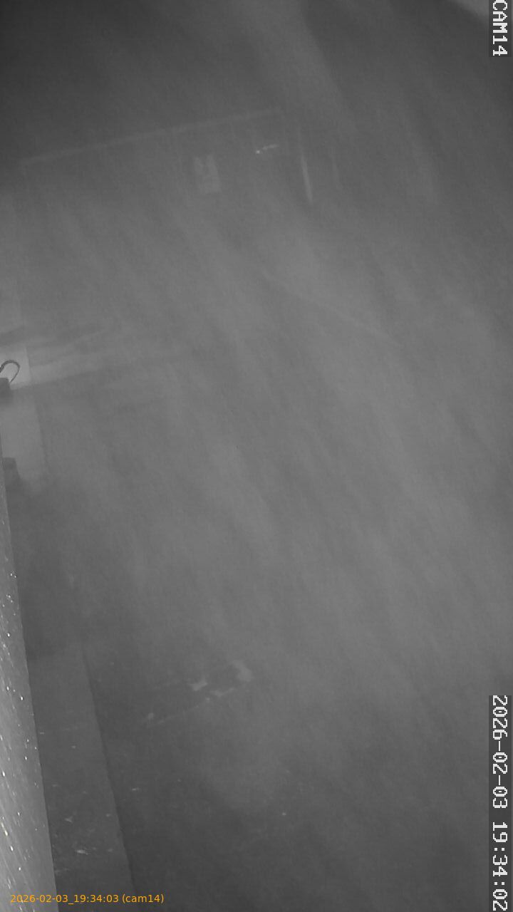 thumbnail_20260203193403