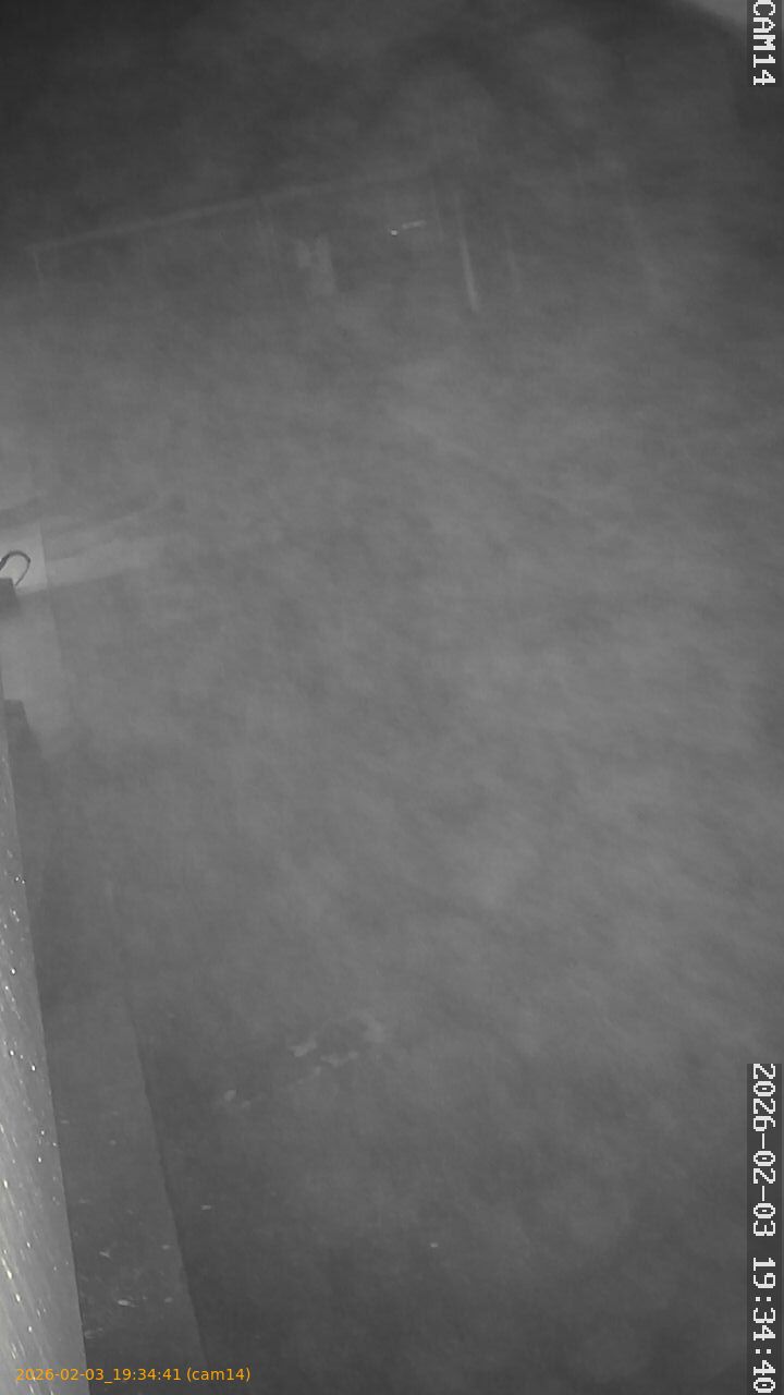 thumbnail_20260203193441