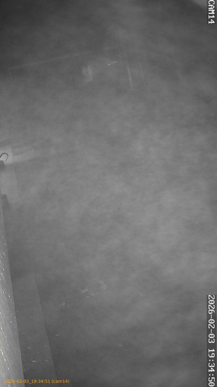 thumbnail_20260203193451