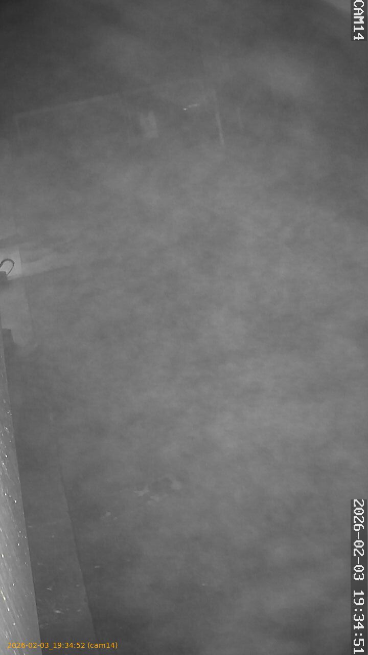 thumbnail_20260203193452