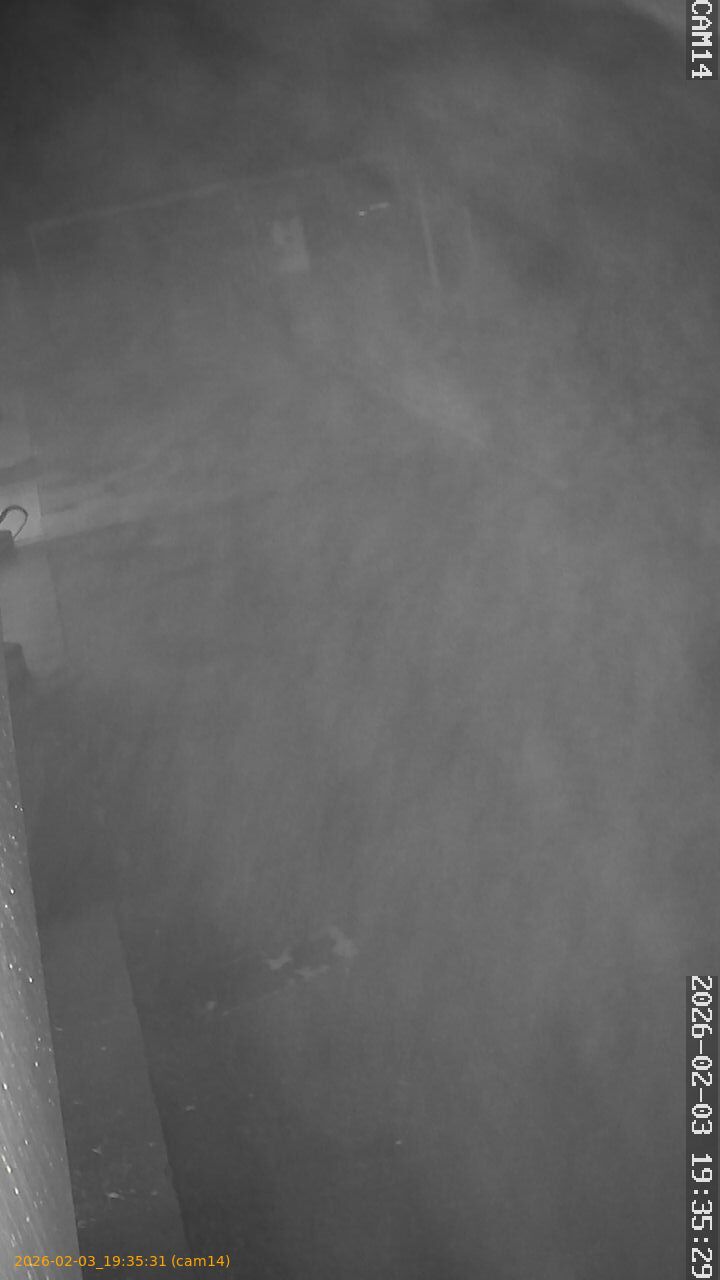 thumbnail_20260203193530