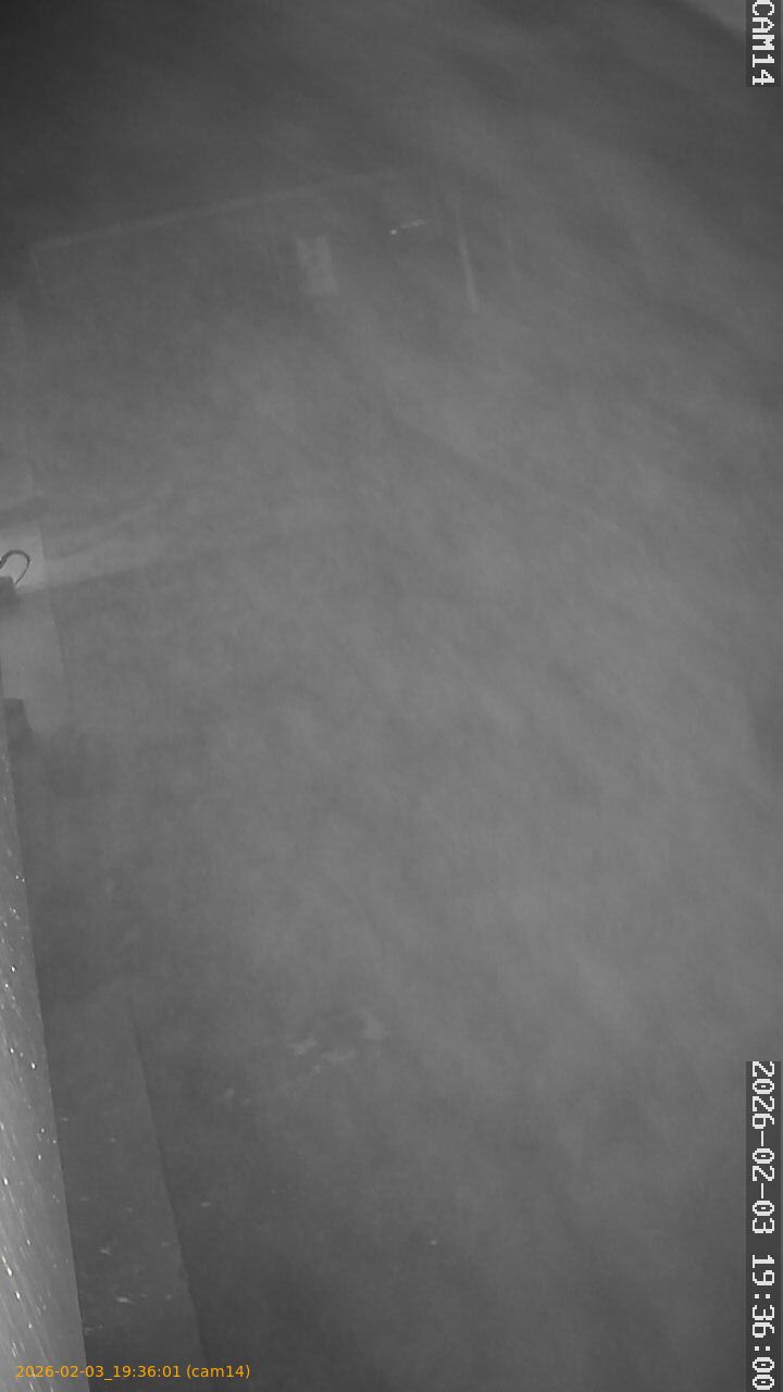 thumbnail_20260203193601