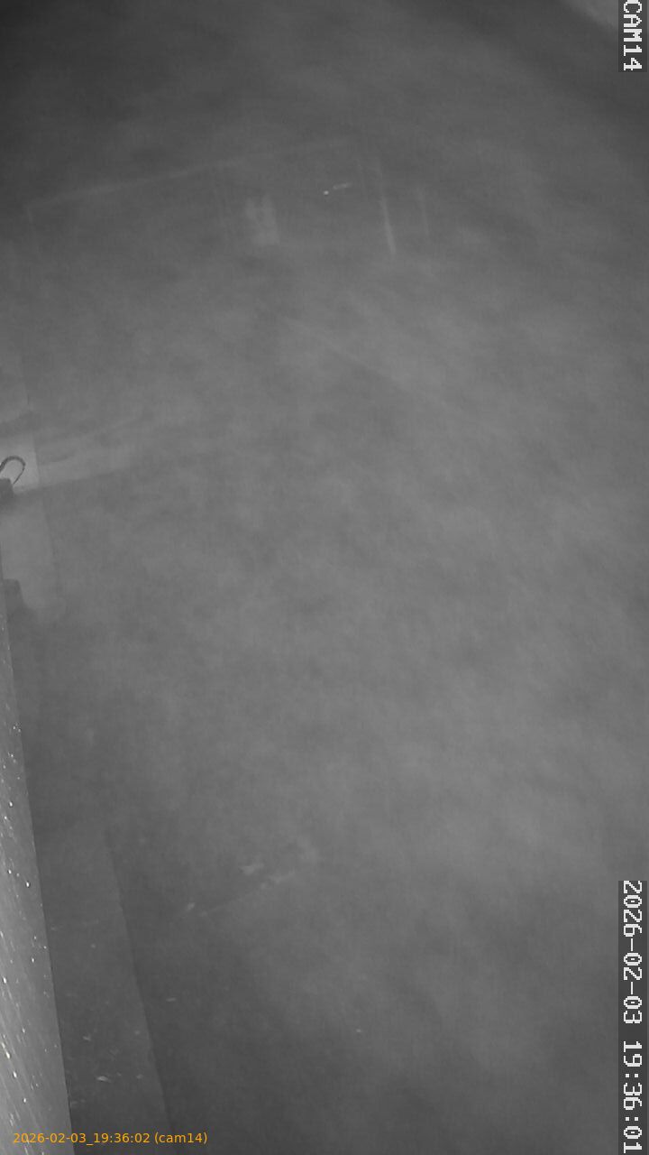 thumbnail_20260203193602