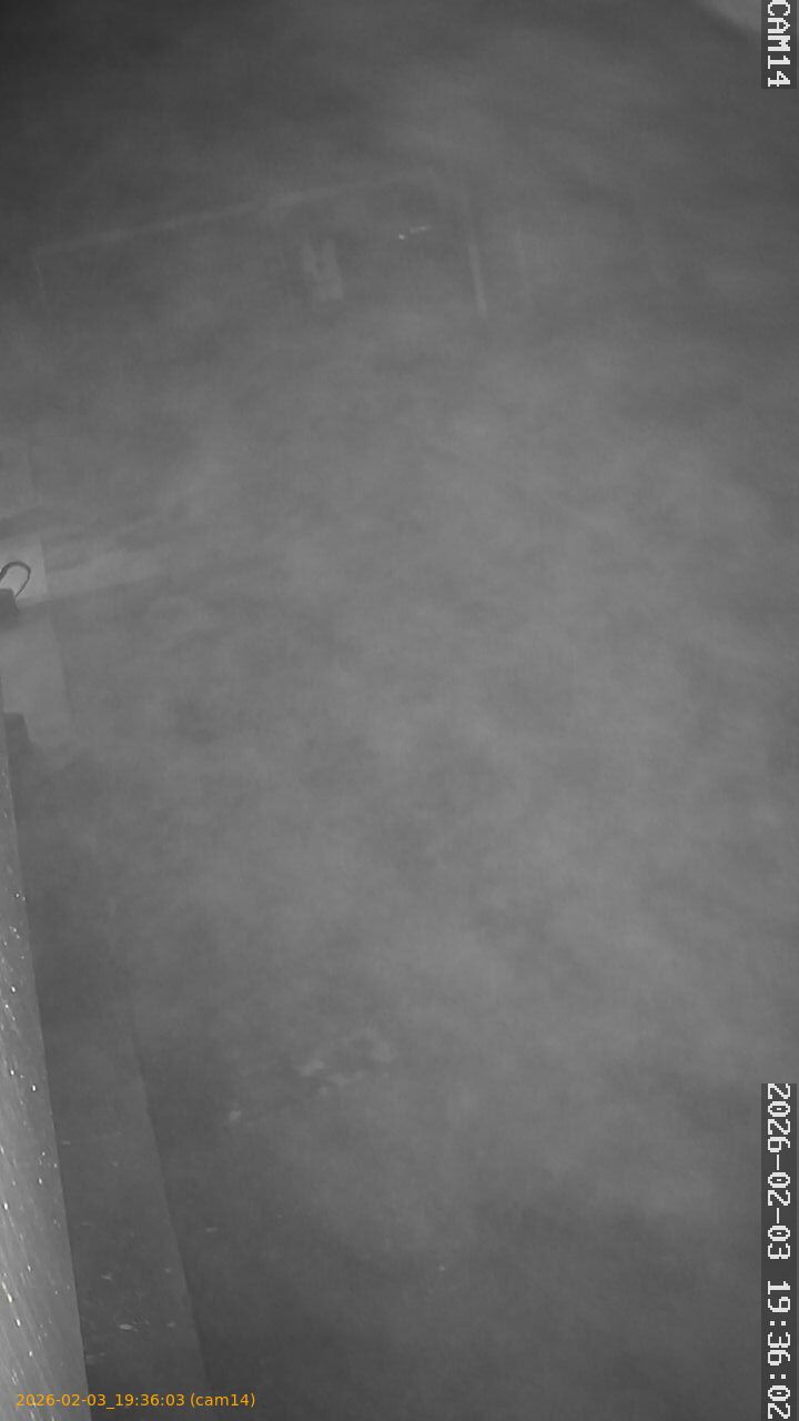 thumbnail_20260203193603