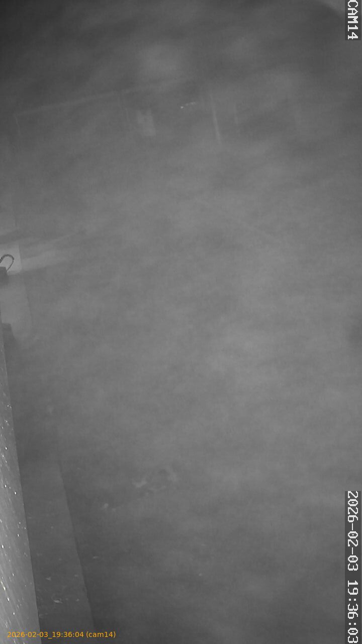 thumbnail_20260203193604