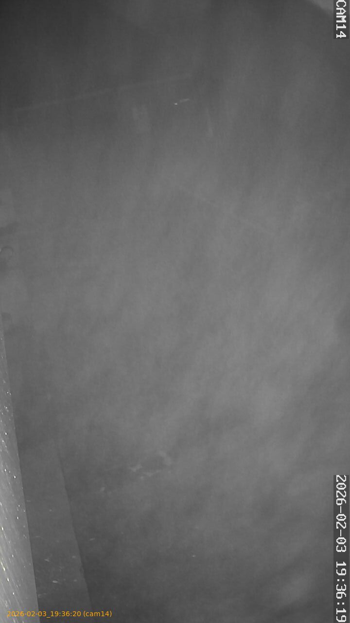 thumbnail_20260203193620