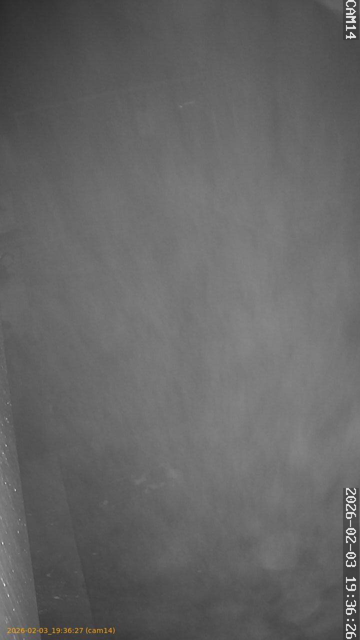 thumbnail_20260203193627