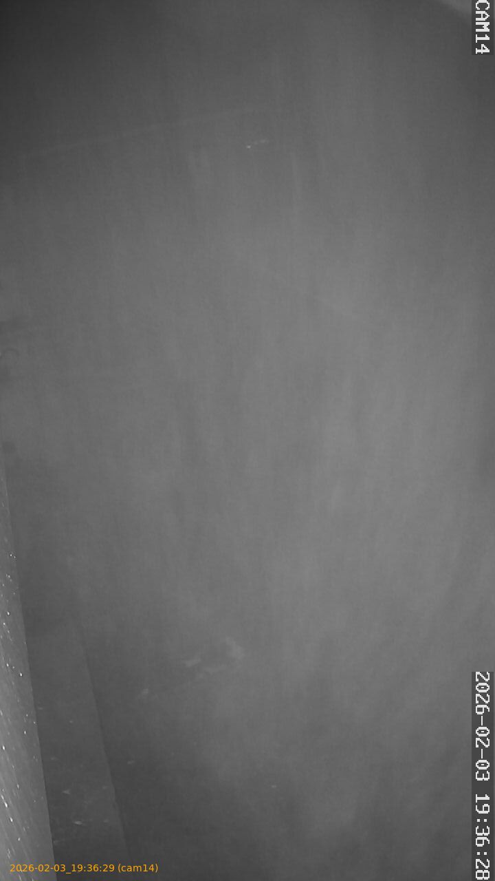 thumbnail_20260203193629