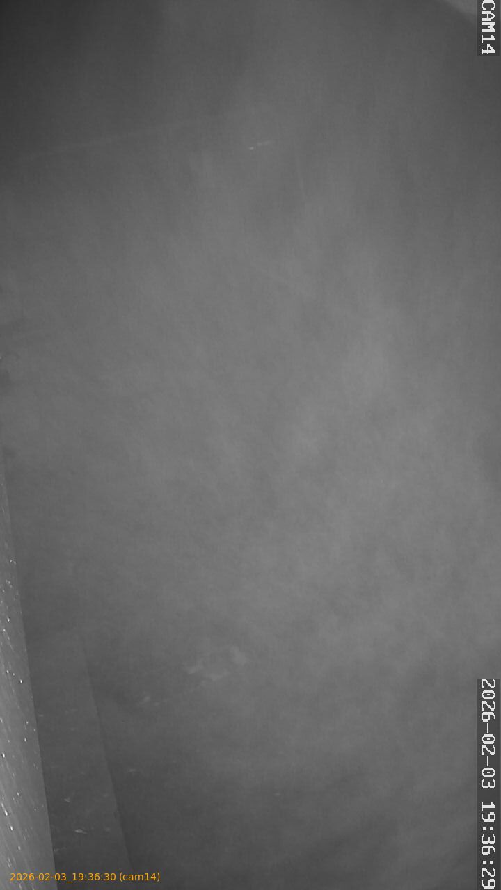 thumbnail_20260203193630