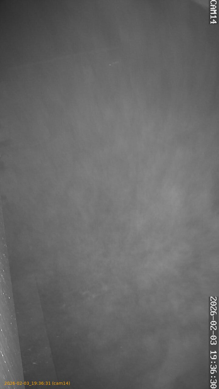 thumbnail_20260203193631