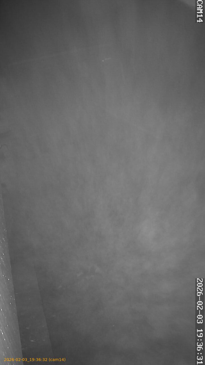 thumbnail_20260203193632