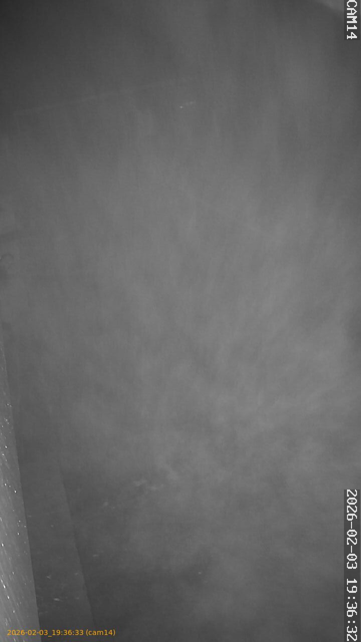 thumbnail_20260203193633