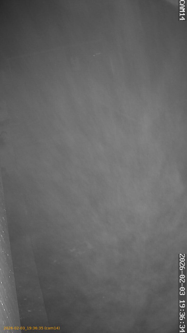 thumbnail_20260203193635