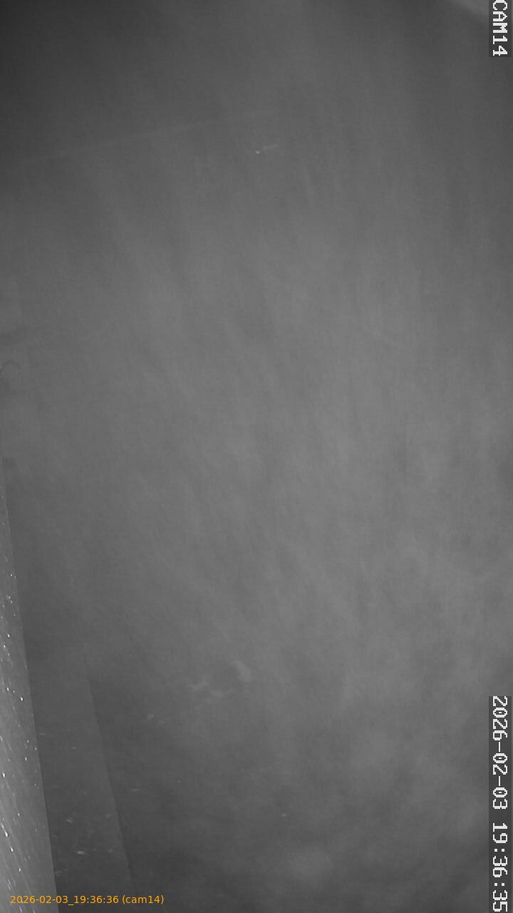 thumbnail_20260203193636