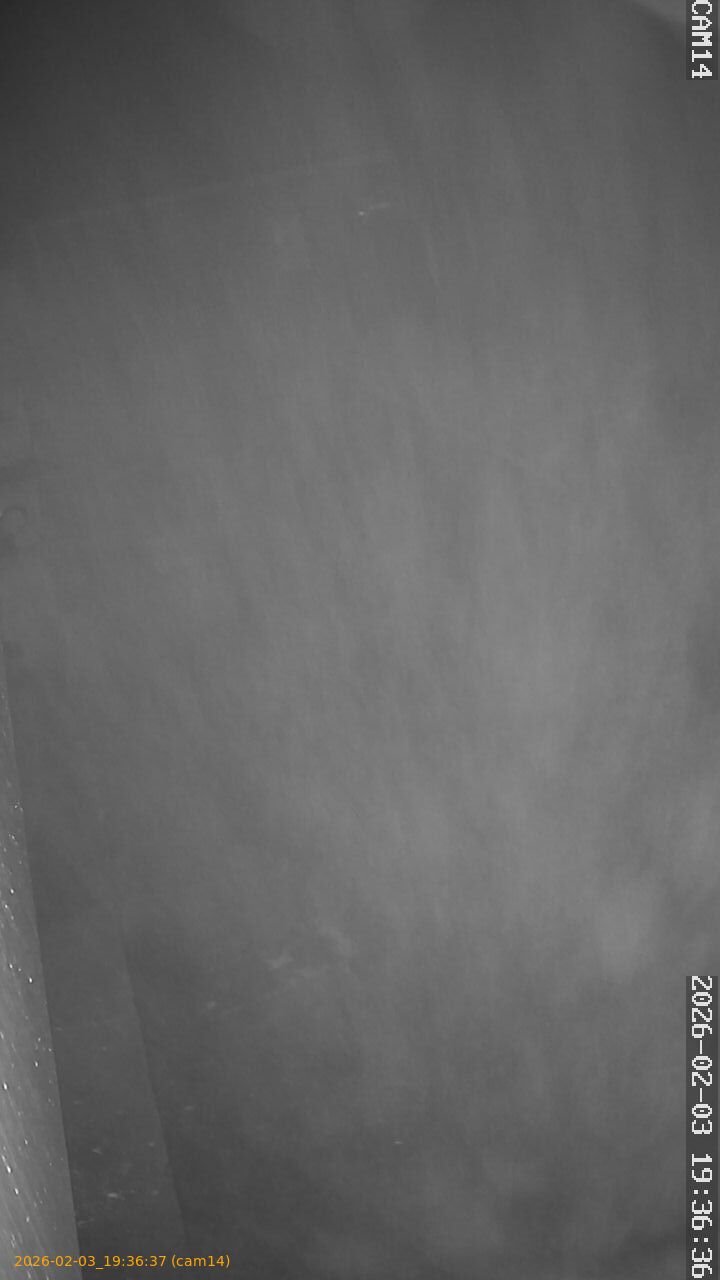 thumbnail_20260203193637