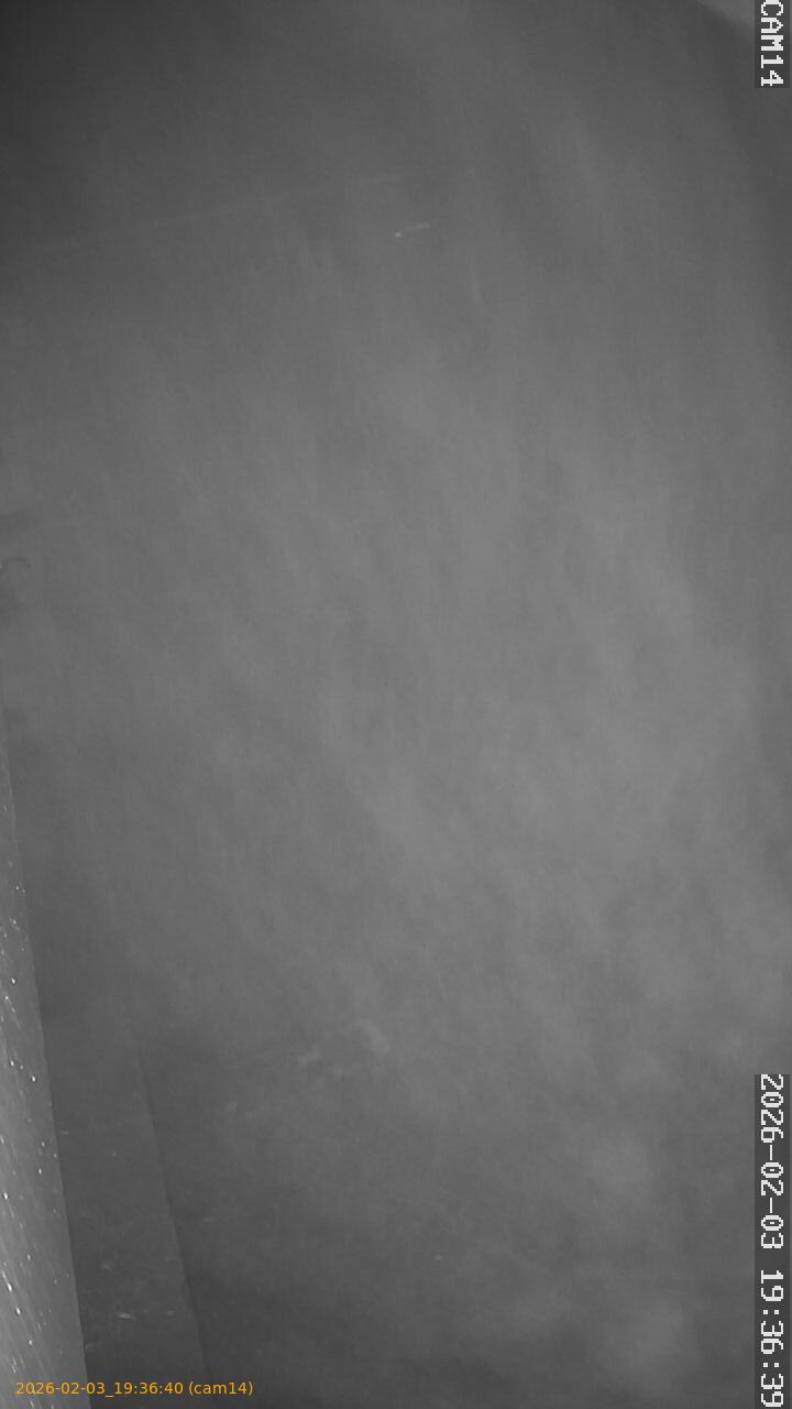 thumbnail_20260203193640