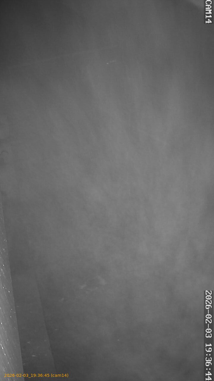 thumbnail_20260203193645