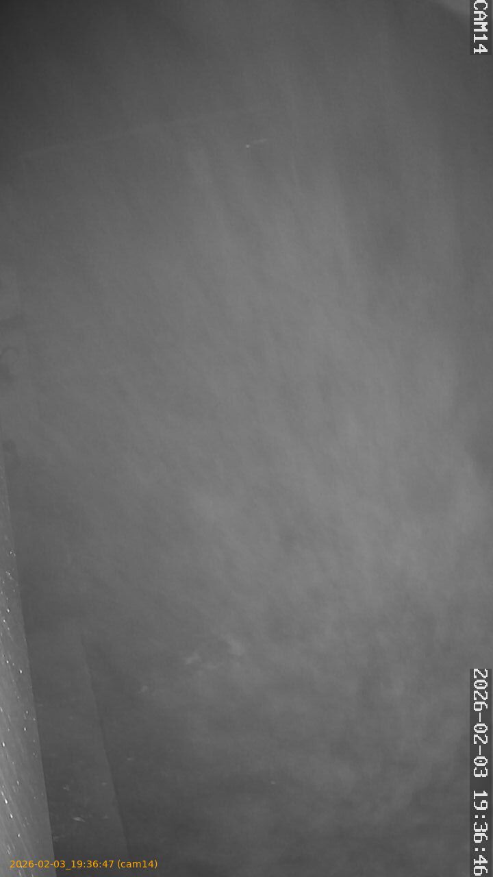 thumbnail_20260203193647