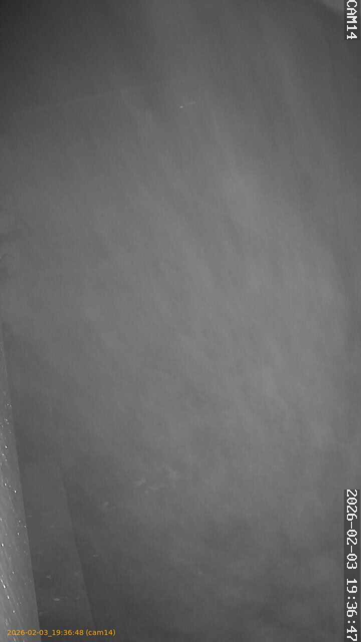 thumbnail_20260203193648