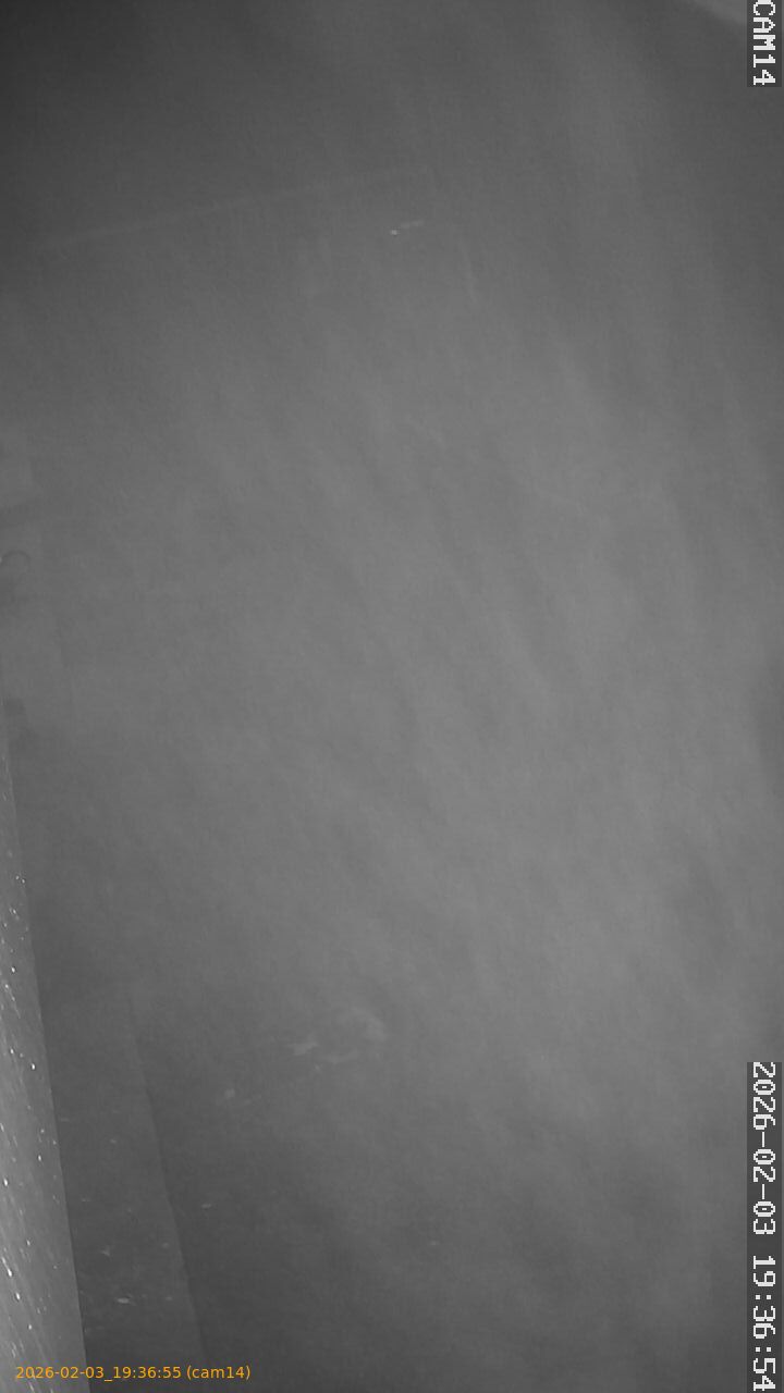 thumbnail_20260203193655