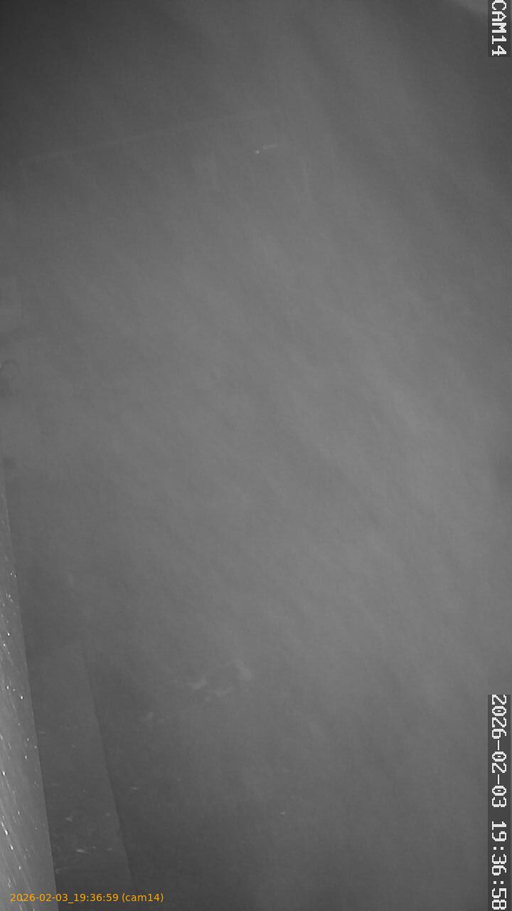 thumbnail_20260203193659