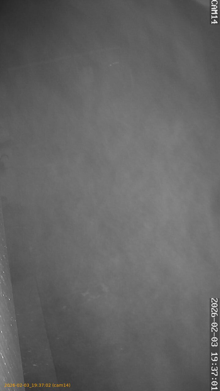 thumbnail_20260203193702