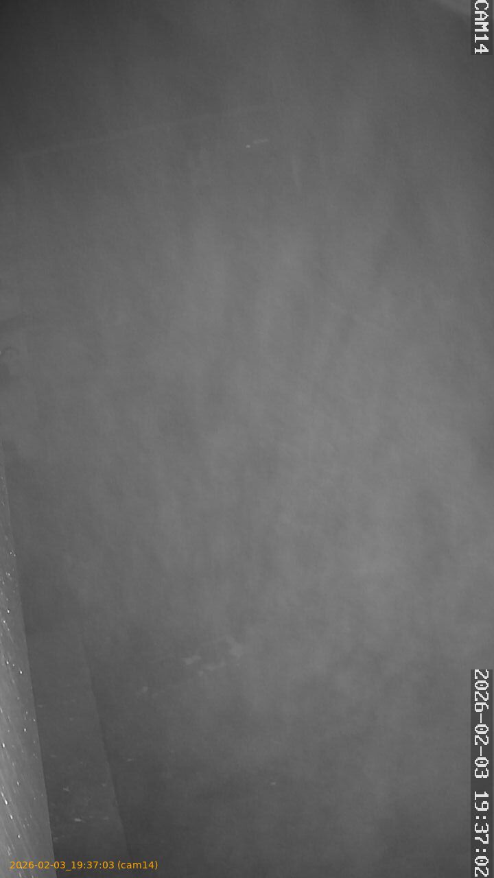 thumbnail_20260203193703