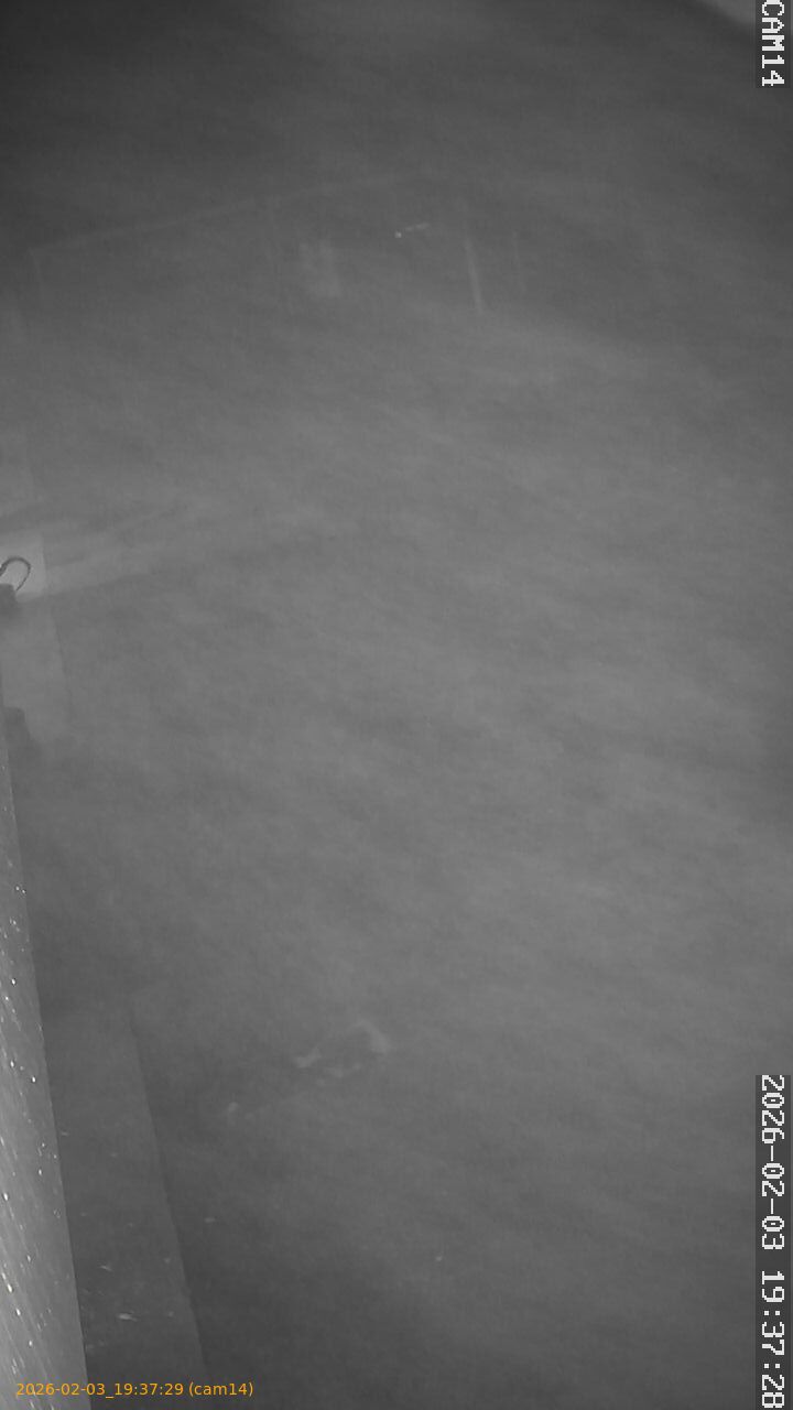 thumbnail_20260203193729