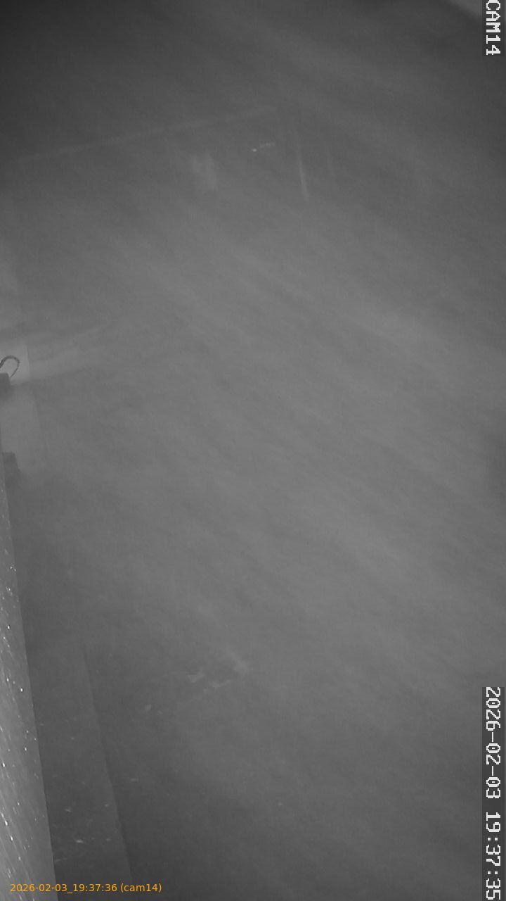 thumbnail_20260203193736