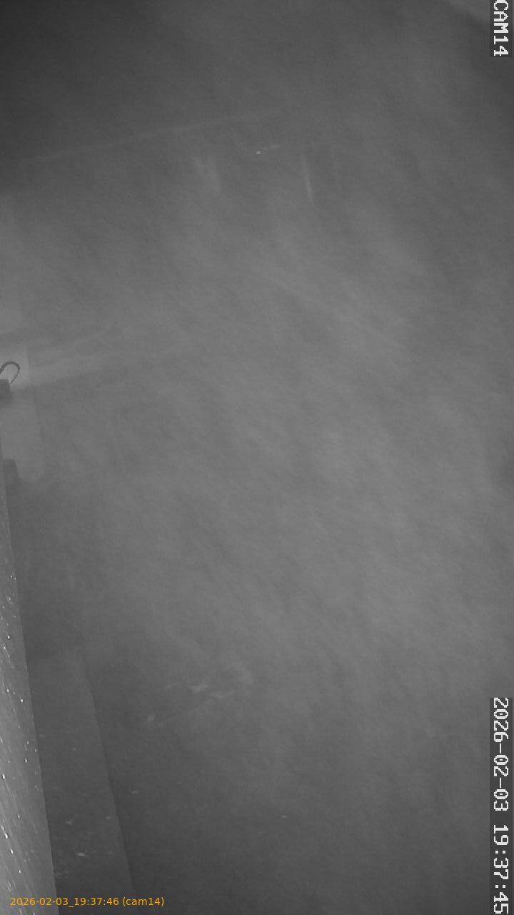 thumbnail_20260203193746