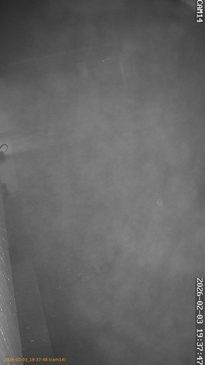 thumbnail_20260203193748