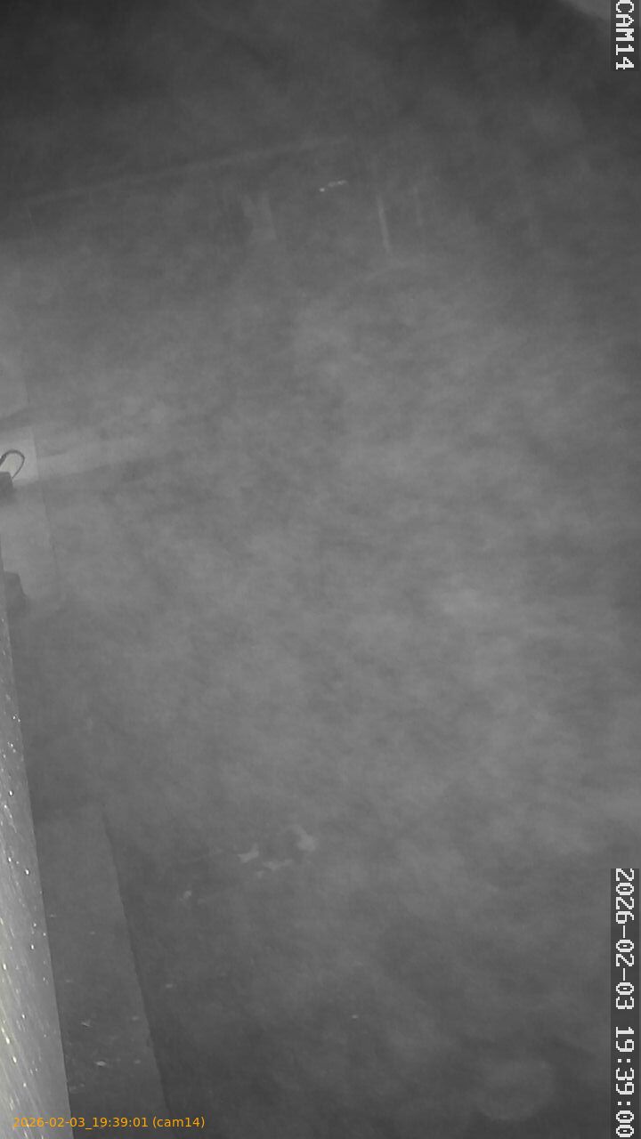 thumbnail_20260203193901