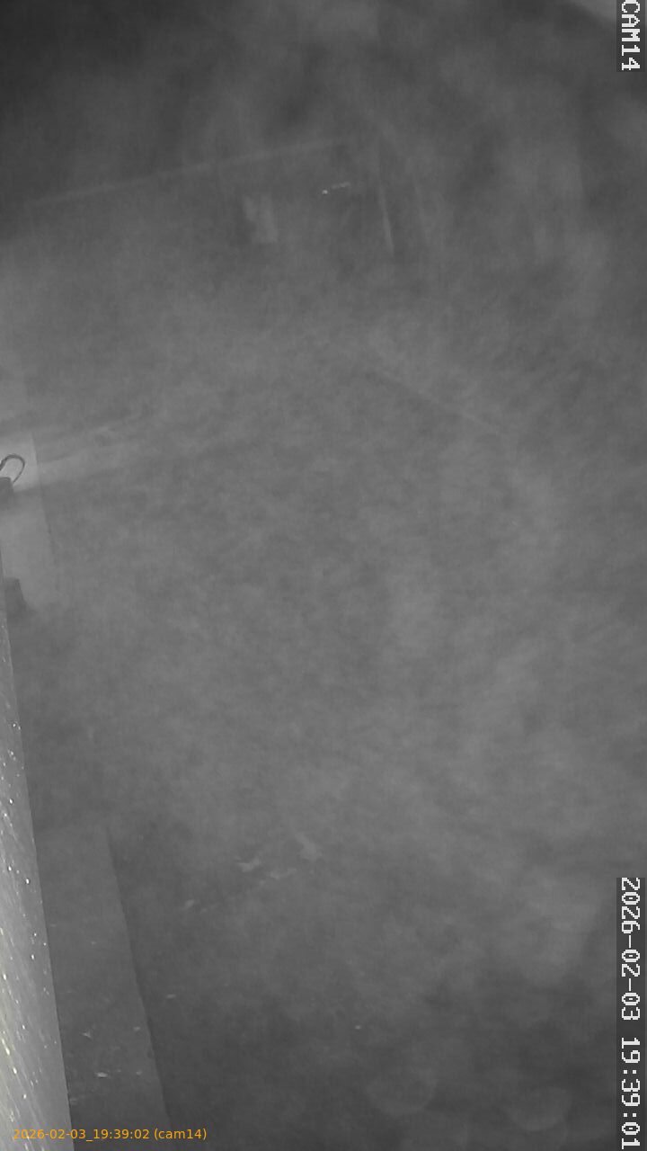 thumbnail_20260203193902