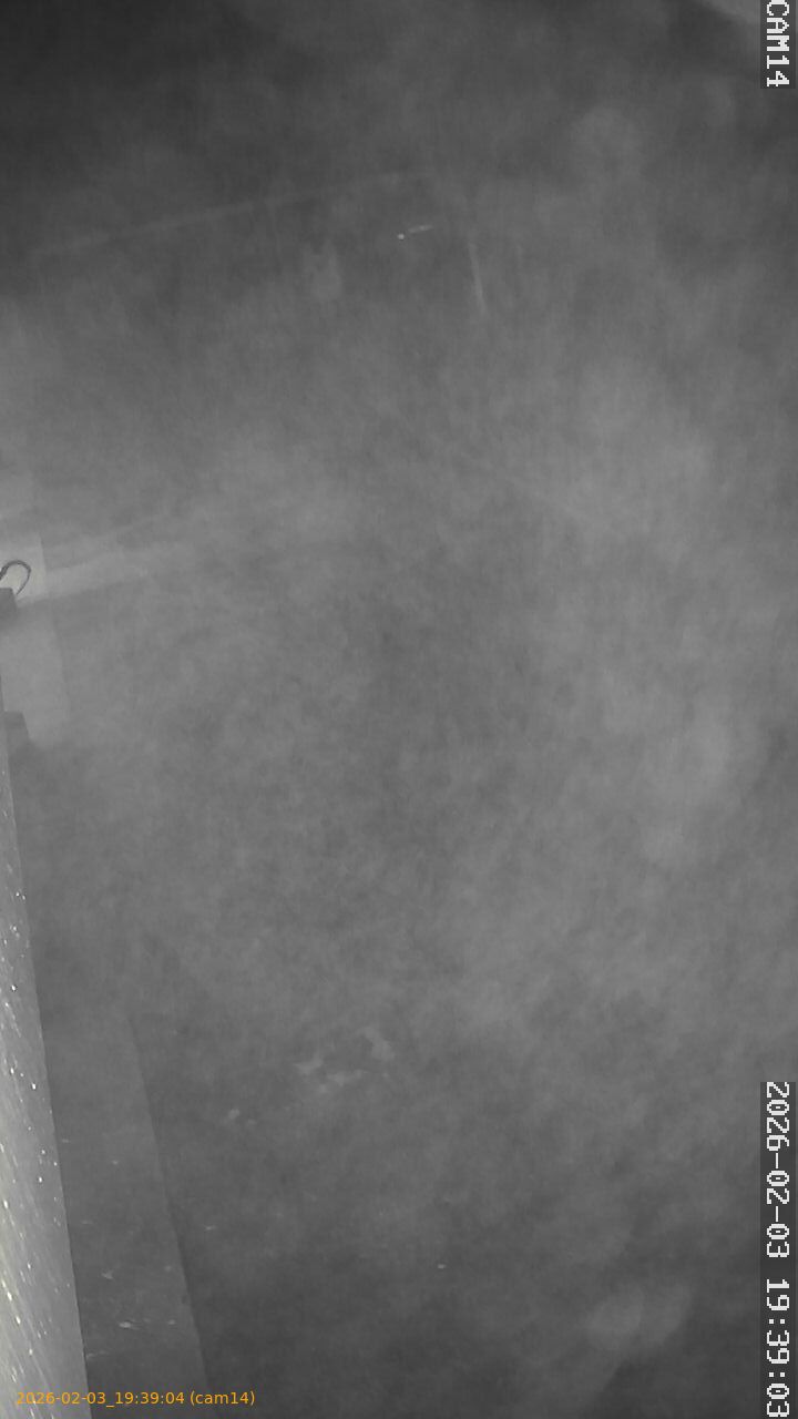 thumbnail_20260203193904