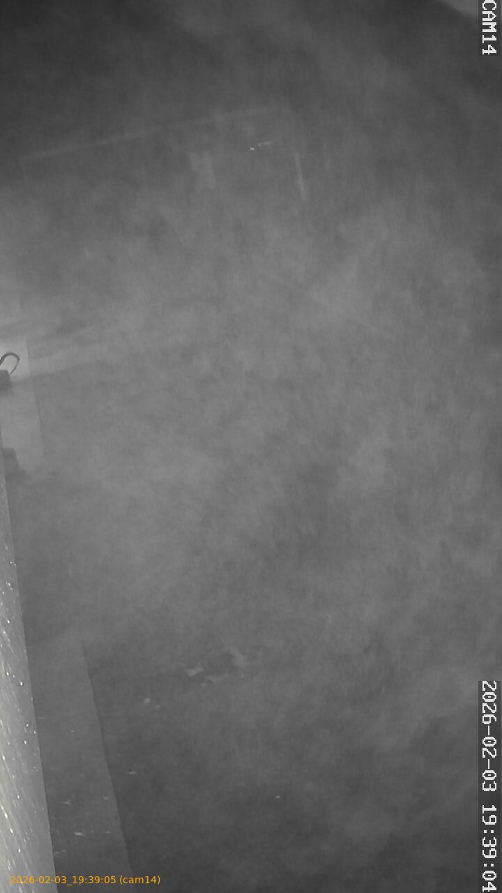 thumbnail_20260203193905