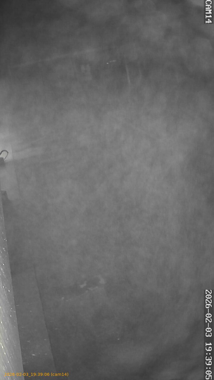 thumbnail_20260203193906