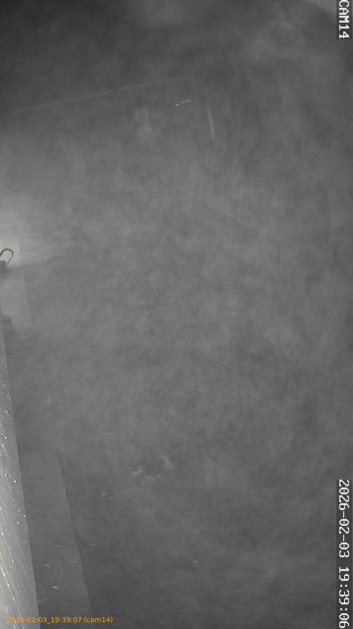 thumbnail_20260203193907