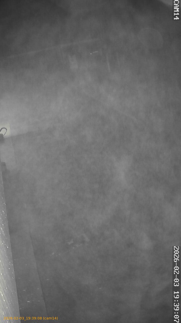 thumbnail_20260203193908