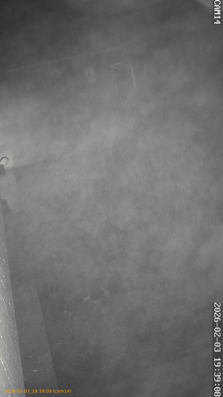 thumbnail_20260203193909