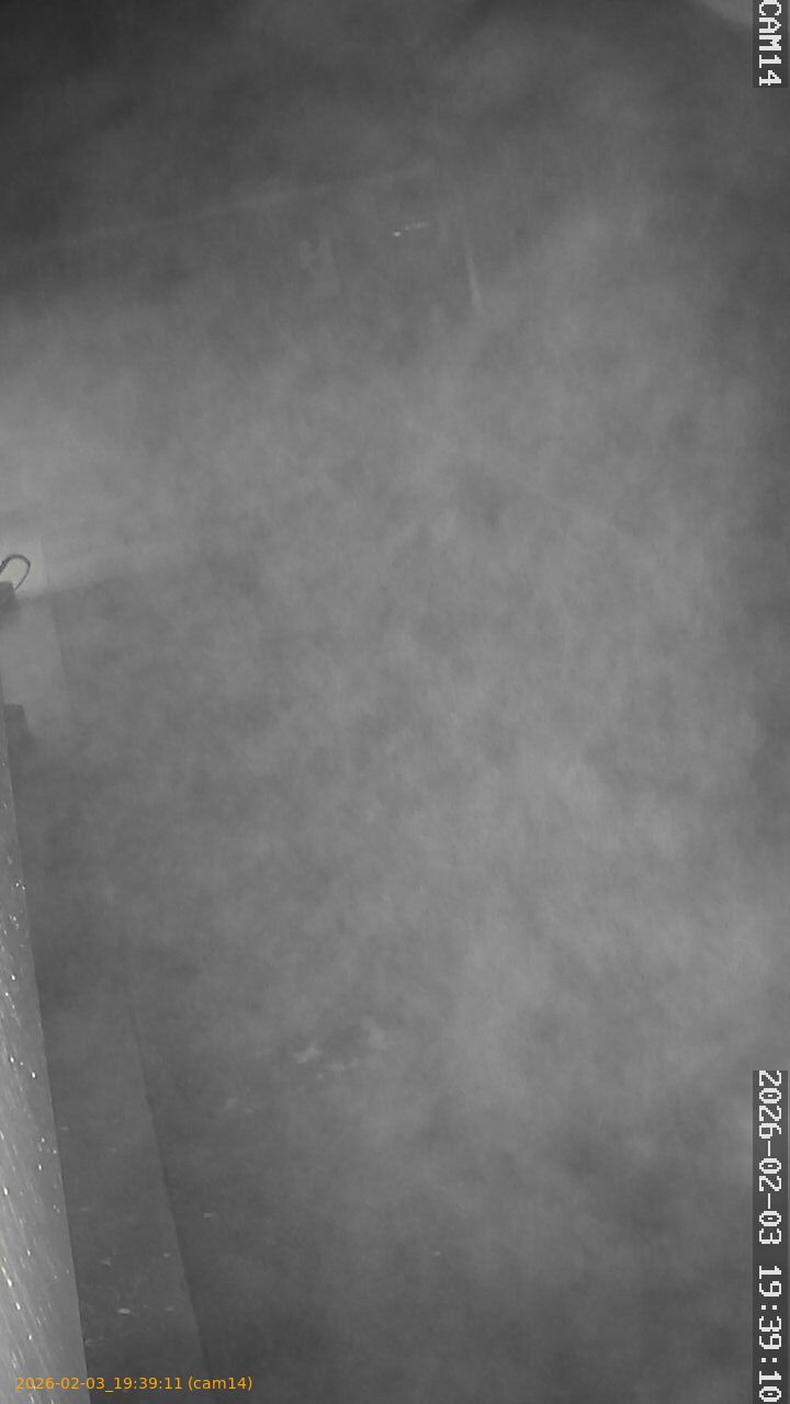 thumbnail_20260203193911