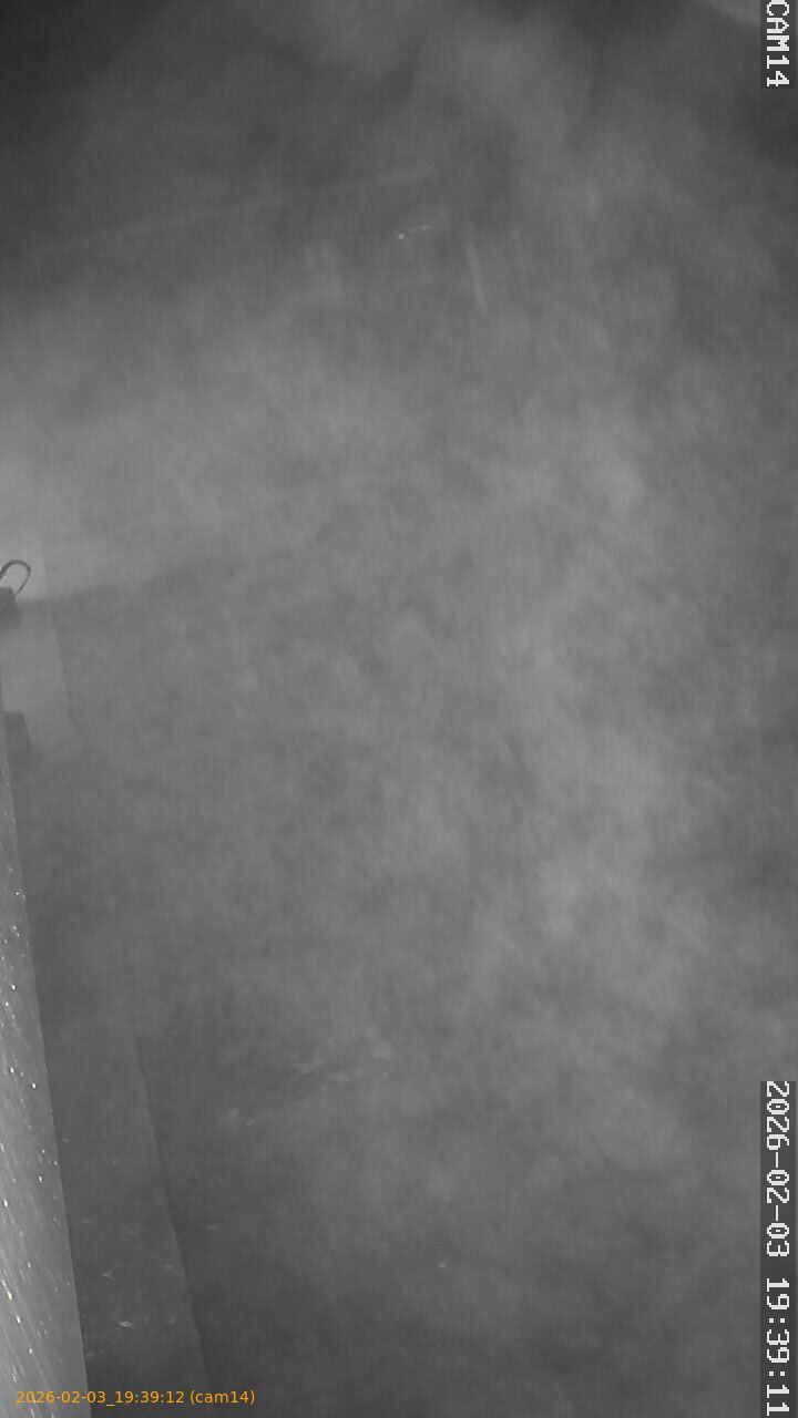 thumbnail_20260203193912