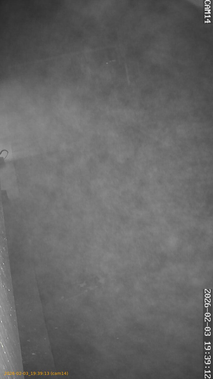 thumbnail_20260203193913