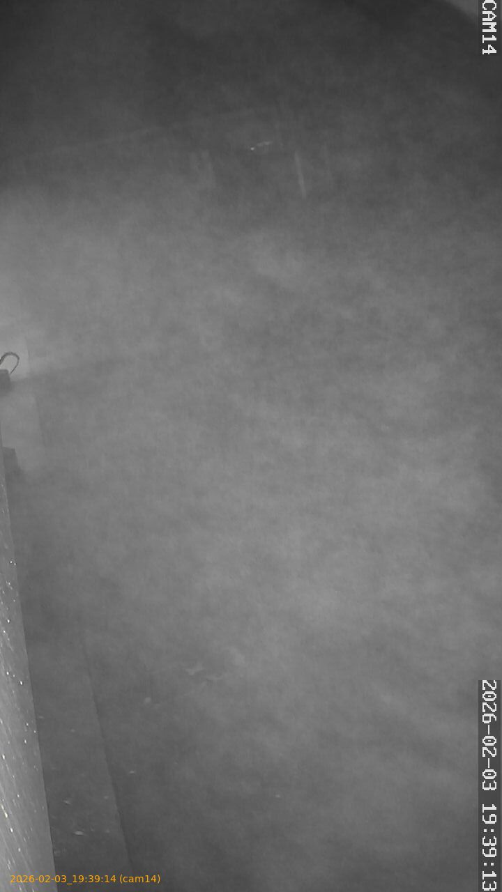 thumbnail_20260203193914