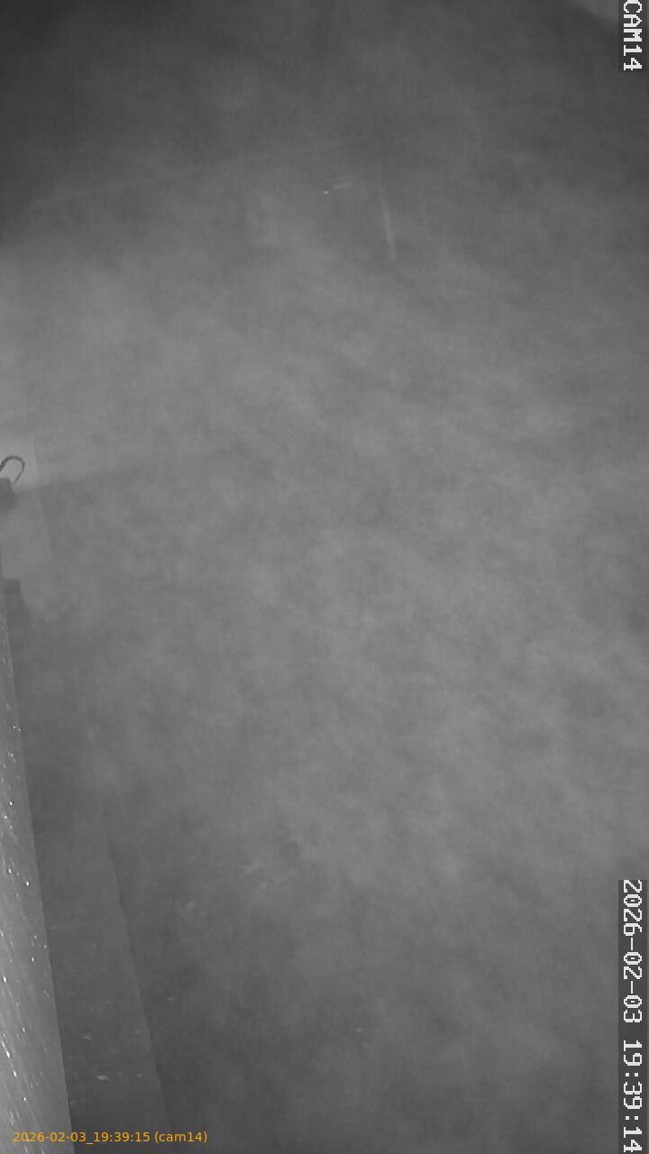 thumbnail_20260203193915