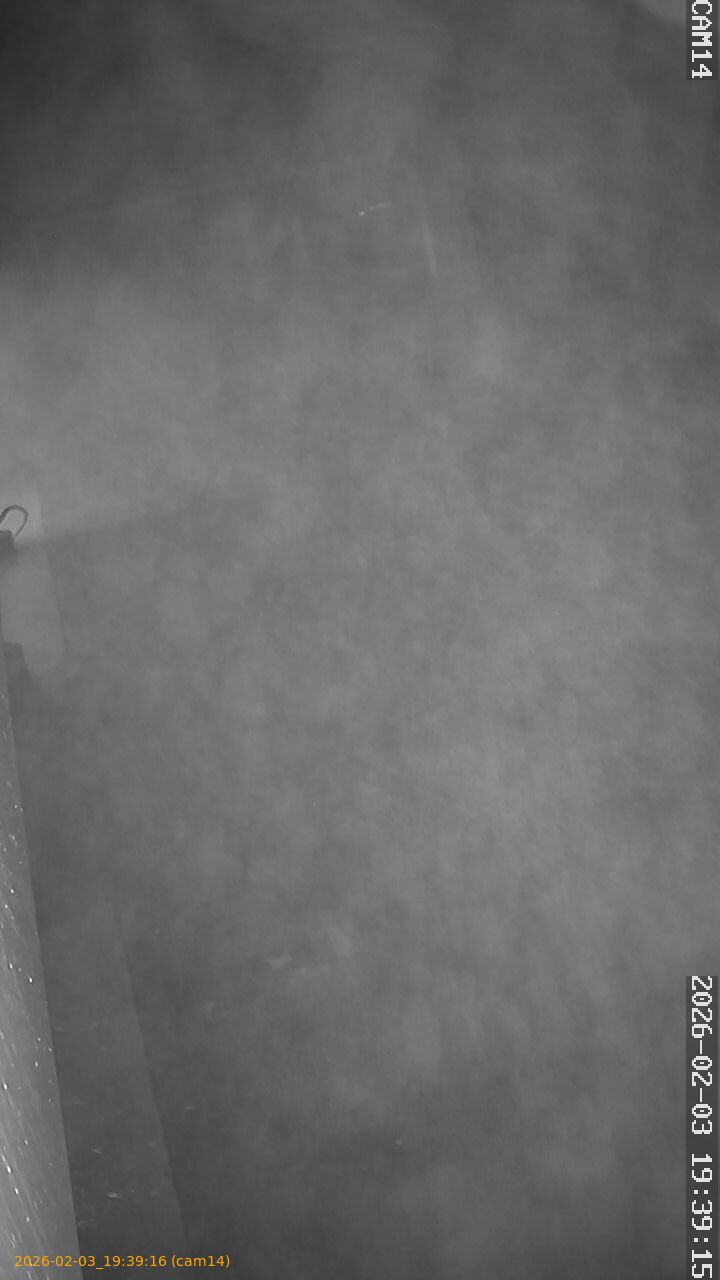 thumbnail_20260203193916