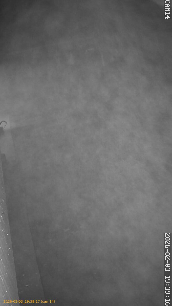 thumbnail_20260203193917